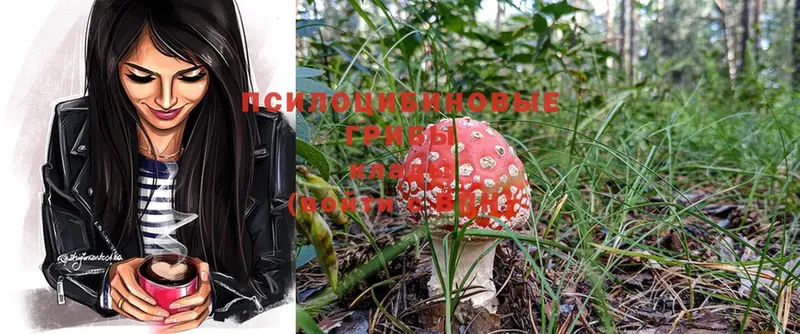 Галлюциногенные грибы MAGIC MUSHROOMS  Рославль 